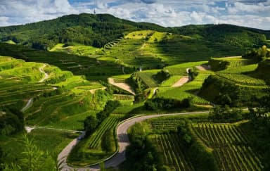 Things to do in Coorg