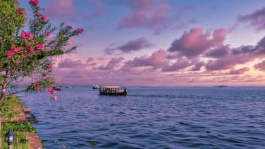 Things to do in Kochi