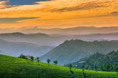 Things to do in Munnar