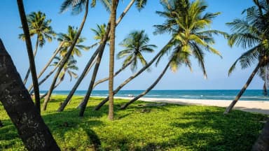 Things to do in Pondicherry